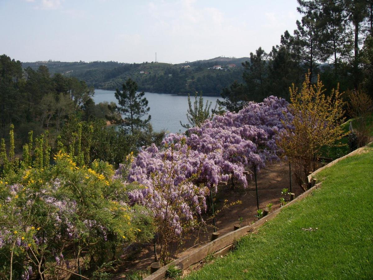 Quinta Do Troviscal Villa Castelo do Bode Eksteriør billede