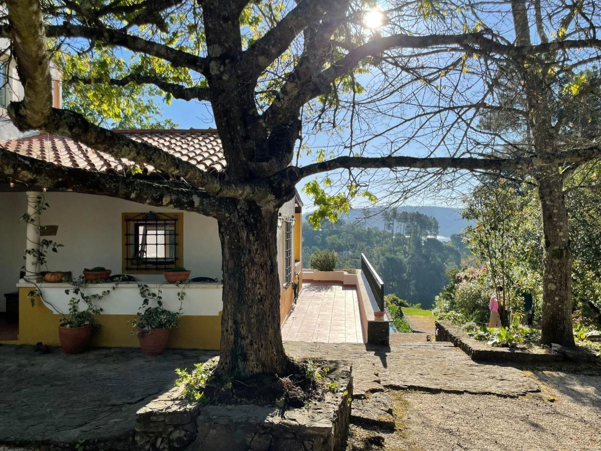 Quinta Do Troviscal Villa Castelo do Bode Eksteriør billede