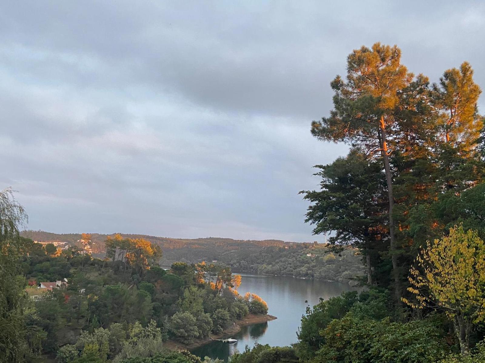 Quinta Do Troviscal Villa Castelo do Bode Eksteriør billede