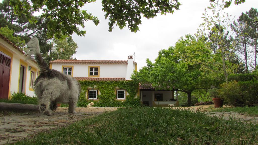 Quinta Do Troviscal Villa Castelo do Bode Eksteriør billede
