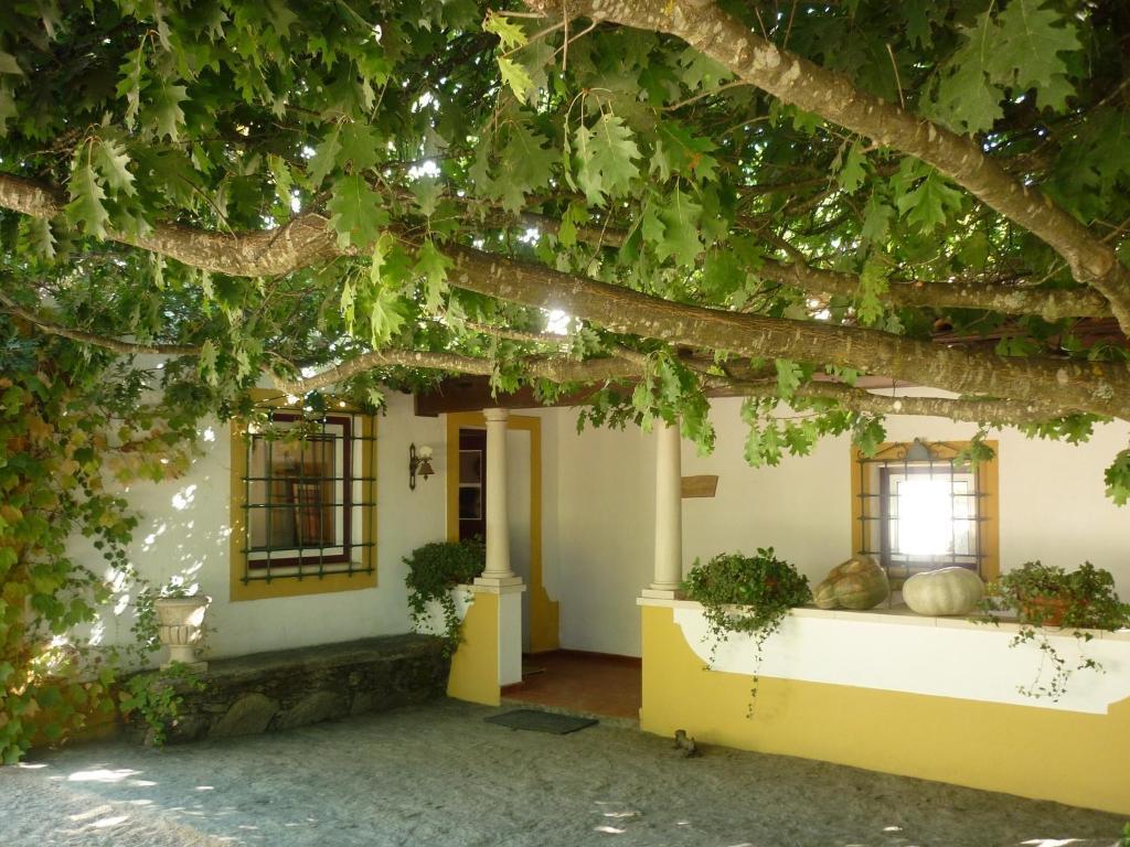 Quinta Do Troviscal Villa Castelo do Bode Eksteriør billede