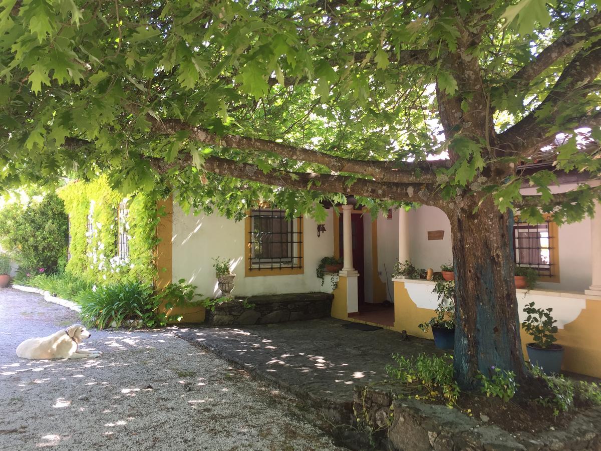 Quinta Do Troviscal Villa Castelo do Bode Eksteriør billede