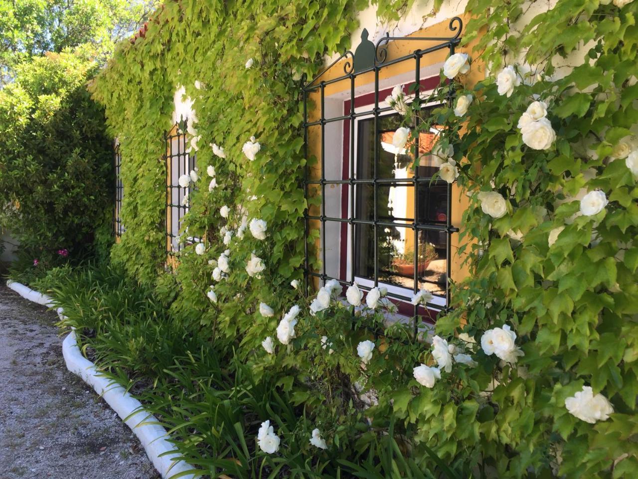 Quinta Do Troviscal Villa Castelo do Bode Eksteriør billede